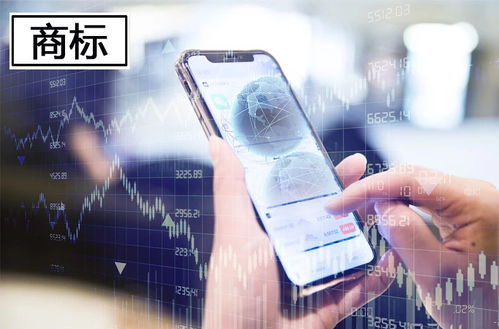 匯桔網(wǎng)手機(jī)應(yīng)用開(kāi)發(fā)商標(biāo)使用的證明資料詳解